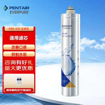 爱惠浦（Everpure） 爱惠浦(Everpure)净水器 双芯过滤大流量直饮 PBS-400T PBS-400主滤芯 套装