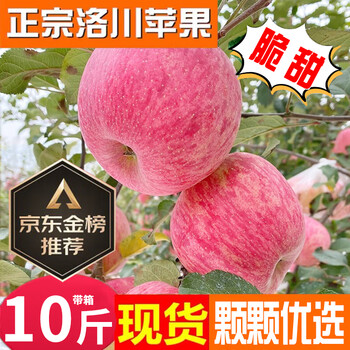 洛川苹果陕西延安红富士时令苹果水果礼盒糖心苹果生鲜脆甜整箱好吃年货 10斤爆卖70-80mm（净重8.5斤）