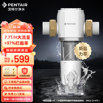 滨特尔（pentair） 前置过滤器大通量家用全屋自来水管道过滤器虹吸正反冲洗家用净水器 【7.7 T/H大流量】S160前置过滤器