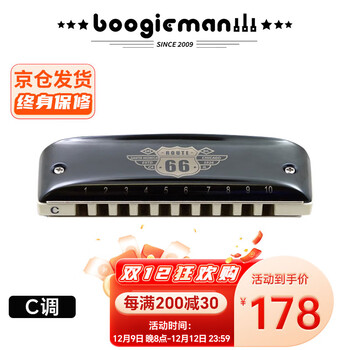 BoogieMAN 66号公路PADDY调音口琴十孔布鲁斯儿童蓝调网10孔园园使用款