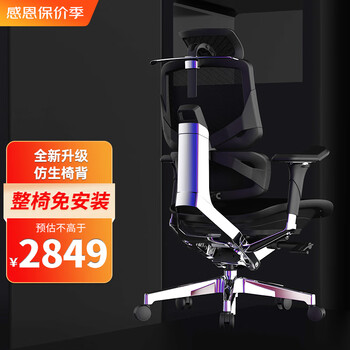 Ergomax Emperor2 PROMAX人体工学电脑椅网椅家用办公椅子电竞椅游戏椅 PROMAX版 魅力黑