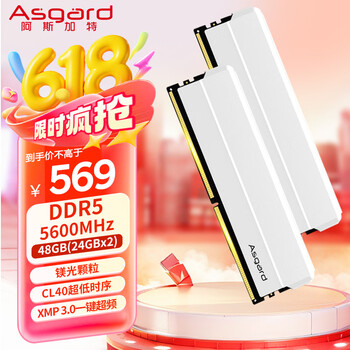 阿斯加特 48GB(24GBx2) DDR5 5600 台式机内存条 海拉 马甲条 镁光颗粒 CL40 星光银