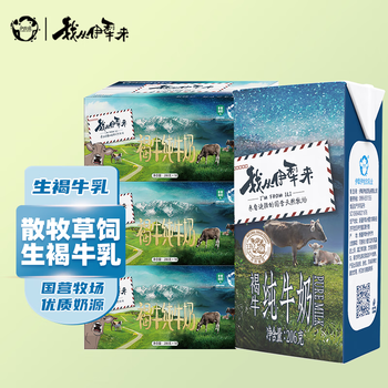 伊牧欣我从伊犁来褐牛奶206g 新疆全脂灭乳3.3g蛋白质早餐纯牛奶整箱 褐牛奶206g*10盒*3箱