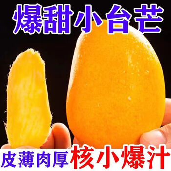 文枝海南小台芒果新鲜小台农芒应当季水果现摘热带芒果 9斤 60-90g中果