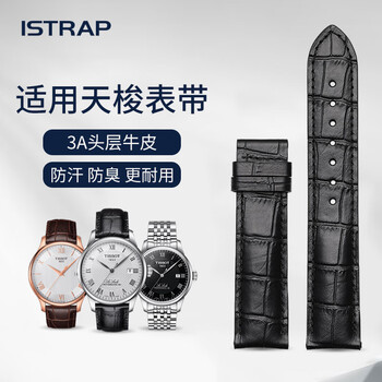istrap适用天梭表带1853男士力洛克俊雅海星卡森T006/T41/063手表带 黑色表带丨无扣款 19mm