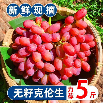 美嫁果红提葡萄克伦生提子当季无籽葡萄新鲜红提脆甜孕妇水果优选果7