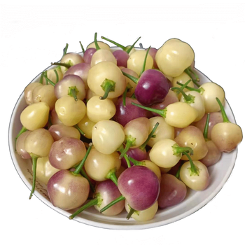 维霆广西特产新鲜七彩椒辣椒五彩椒泡椒灯笼椒剁椒五色小米辣 5斤