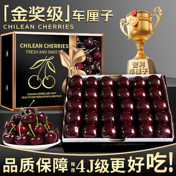 梦宛怡车厘子4jjjj级【多地次日达】智利进口樱桃新鲜水果年货节送礼盒 5斤(净重) 进口车厘子JJJ级30-32mm