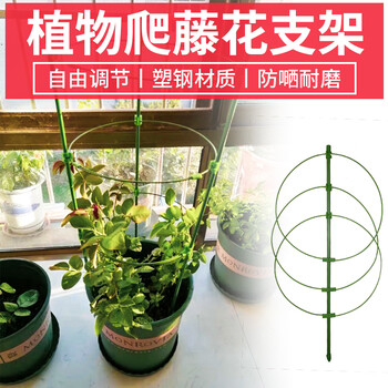 植物攀爬支架花盆爬藤花架蔷薇月季葡萄固定支柱蟹爪兰铁线莲昙花月季黄瓜豆角金钱树花卉支撑防倒固定架子新款爬藤架75cm套装 图片价格品牌报价 京东