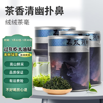 梦龙韵茶叶绿茶当年新茶浓香解腻茶口感清甜量贩口粮茶 大份量散茶罐 绿茶100g*4罐+礼袋