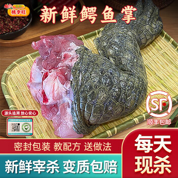 桃李旺（taoliwang）鳄鱼生鲜肉 新鲜现杀鳄鱼尾巴肉 鳄鱼掌鳄鱼肚 整只刺身煲汤火锅 【1.5kg】鳄鱼掌肉