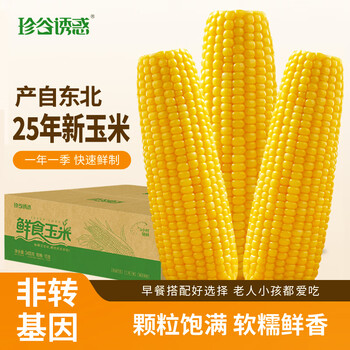 珍谷诱惑 25年东北小黄糯玉米12支 2.4kg