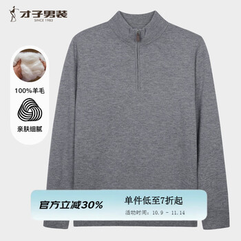 才子(TRIES)商务男士半高领羊毛衫秋冬纯色毛衣男100%纯羊毛轻奢保暖针织衫 灰色 XL 50 175/92A