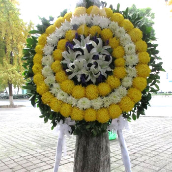 花圈丧事鲜花殡葬上海同城速递丧礼白事花圈菊花葬礼追悼会花篮 c款