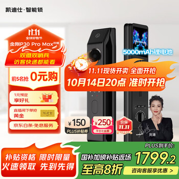 国家补贴：凯迪仕 kaadas P30 Pro Max(双摄) 电子智能锁 幻影黑