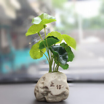 盆栽 金钱叶 鱼缸塑料假草 铜钱草小荷叶 花艺套装 13厘米止语盆栽