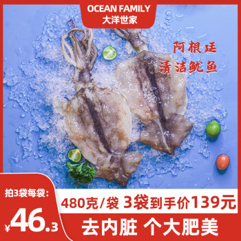 大洋世家 OCEAN FAMILY阿根廷鱿鱼480g袋装去胆汁去内脏清洁大个海鲜水产生鲜冷冻烧烤 1袋  去内脏去胆汁  480g/袋
