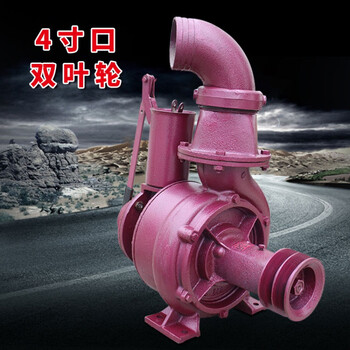 器农用抽水机农田灌溉高扬程大流量水泵4寸双叶轮流量270方扬程48米