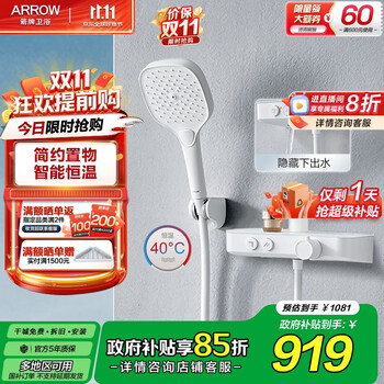 箭牌 ARROW 花洒      简易手持花洒套装 哑光白 恒温款