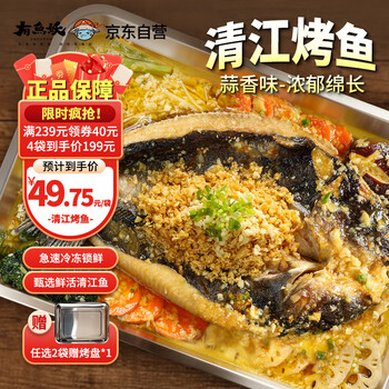 有鱼妖 厨神装烤鱼夜宵蒜香味 700g 半成品方便菜鮰鱼火锅聚餐