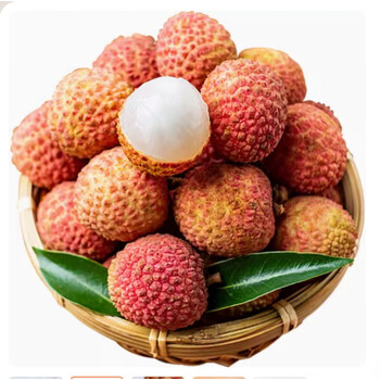 哆莫香广东桂味荔枝新鲜桂香味荔枝当季新鲜茂名荔枝水果1斤保温箱