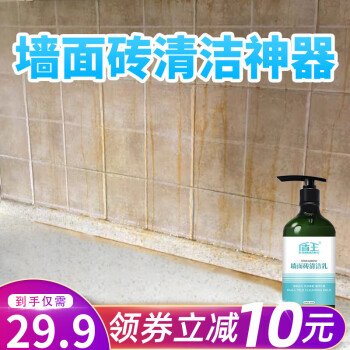 盾王 墙面砖清洁乳客厅厨房砖面去污洗手间强力多功能瓷砖清洁剂 300g 1瓶
