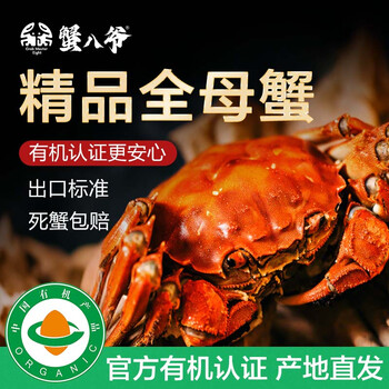 【活蟹】蟹八爷 大闸蟹全母3两-3.3两 8只装 螃蟹鲜活现货海鲜生鲜礼盒 源头直发