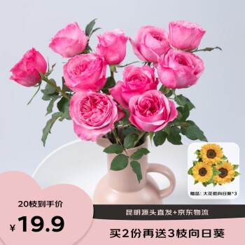 2024年6月7日更新【万能白菜价】的图片 第24张
