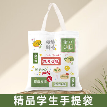 学生手提袋物流签收之日起10日内有效一单怕不发货勿拍精美手提袋