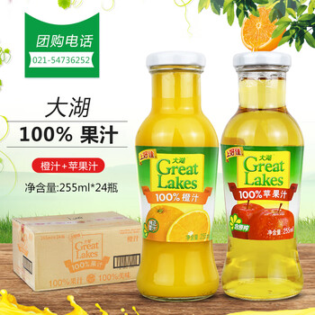 隽辰堂上好佳大湖果汁橙汁苹果汁255ml24瓶果味玻璃瓶果汁饮料多省