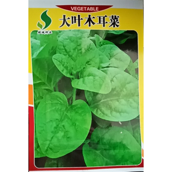 民汇园蔬菜种子多年生大叶木耳菜四季播阳台蔬菜耐热耐湿产量高5克每袋 图片价格品牌报价 京东