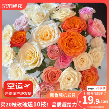 有券的上:京东鲜花 玫瑰20枝送10枝 共30支色鲜花花束