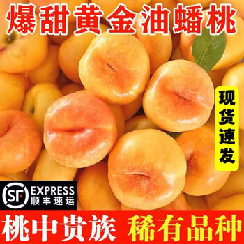 初石 顺丰 特大果 山东蒙阴 黄油蟠桃 王母蟠桃 5斤装（12-16个）