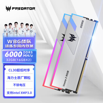 宏碁掠夺者（PREDATOR）32G(16G×2)套装 DDR5 6000频率