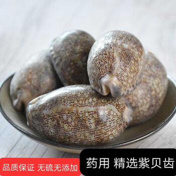 紫贝齿一斤半斤多规格紫贝文贝紫贝子南蛇牙齿奇草中药材店铺紫贝齿250克 图片价格品牌报价 京东 紫贝齿一斤半斤多规格紫贝文贝紫贝子南蛇牙齿奇草中药材店铺紫贝齿250克 图片价格品牌报价 京东