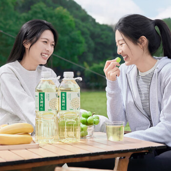 农夫山泉 NONGFU SPRING 东方树叶无糖茶饮料 1.5L**6瓶茉莉花茶