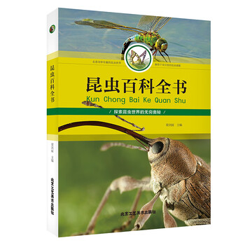 不可错过的限时折扣!价格走势激增,买之前必看