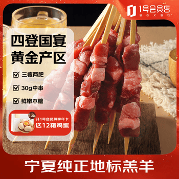 1号会员店宁夏盐池滩羊 羔羊肉串600g（20串） 180天乳羔羊 烧烤食材