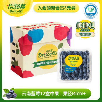 Driscoll's 怡颗莓 云南当季蓝莓 125g/盒 12盒原箱装