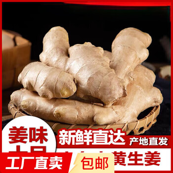 2025年10月12日更新【万能白菜价】
