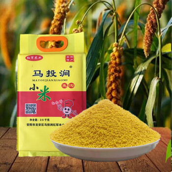 连环马河南安阳马投涧特产红军小米22年新黄小米红谷小米月子宝宝