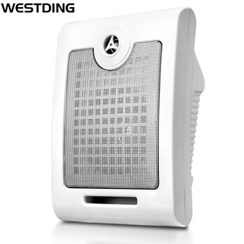 求助！
威斯汀（WESTDING）智能家庭背景音乐系统 定阻定压吸顶式壁挂喇叭嵌入式两用音响 s-68壁挂音箱/白色值不值得入手？怎么样？优缺点解析？有没有人买过？
