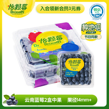 怡颗莓Driscoll's 当季云南蓝莓14mm+ 2盒装 125g/盒 生鲜水果