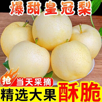 果迎鲜 梨 河北皇冠梨   净重4.5斤