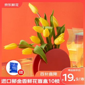 2025年2月17日更新【万能白菜价】的图片 第66张
