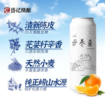岱记精酿经典小麦白啤酒精酿啤酒 原浆橘香白啤330ml*6罐装青岛现货直发 毋养鱼白啤 330mL 6罐