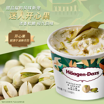 哈根达斯（Haagen-Dazs）开心果奶霜口味冰淇淋100ml/杯 雪糕
