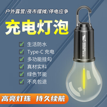 微笑鲨 TypeC充电led灯泡