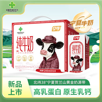 宁牛 宁夏纯牛奶 200ml*20盒（10盒*2箱）