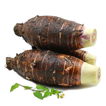 乐昌张溪炮弹芋头 广东韶关特产新鲜现挖粉糯槟榔芋大香芋蔬菜 1个7-8